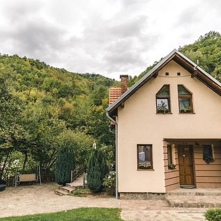 Lodge Zeleni Svet Crni Vrh Exterior photo