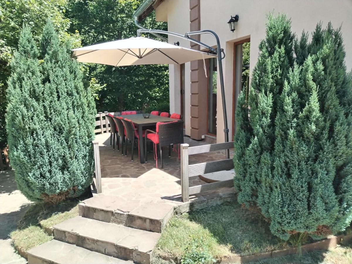 Lodge Zeleni Svet Crni Vrh Exterior photo